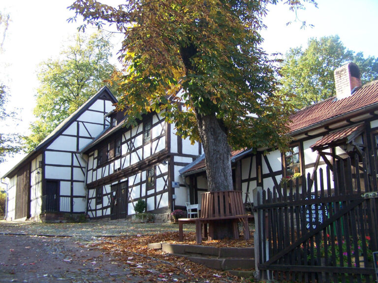 WAK SCHOENAU MUSEUM 768x576