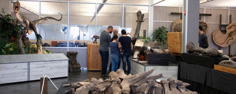 fossil museum 768x306